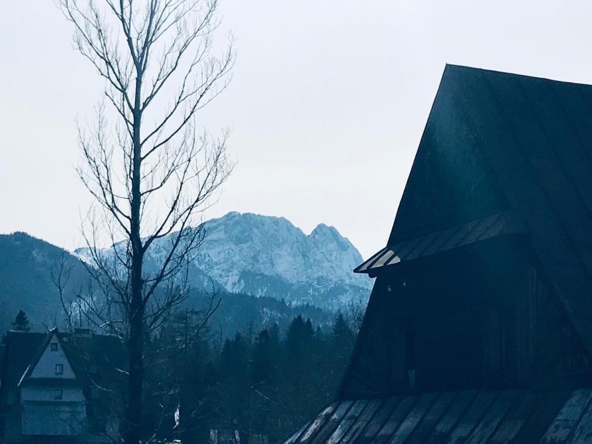 Willa Pod Gorami Закопане Экстерьер фото
